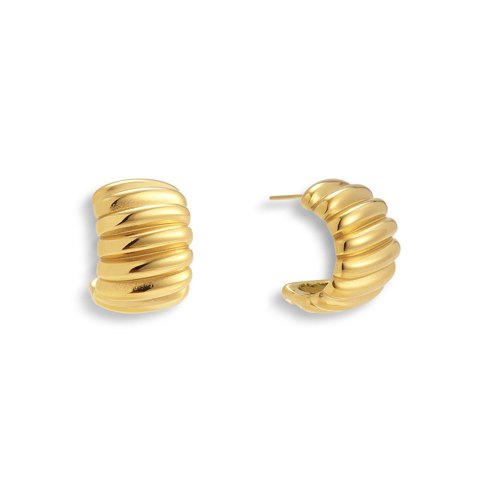 Rich Behavior Earrings